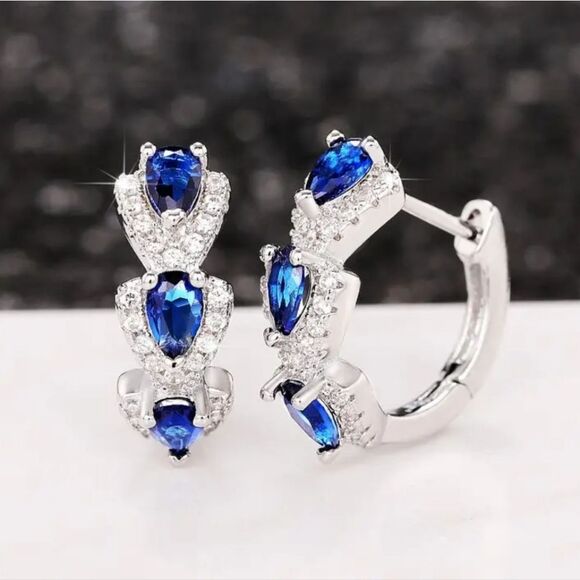 Elegant Silver and Blue Gemstone Earrings - Picture 1 of 9